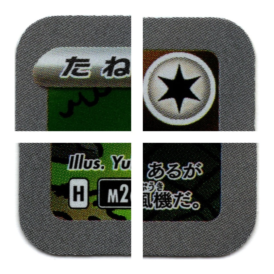 M2a 213/193 AR 旋轉托洛姆 10/10（日文版）