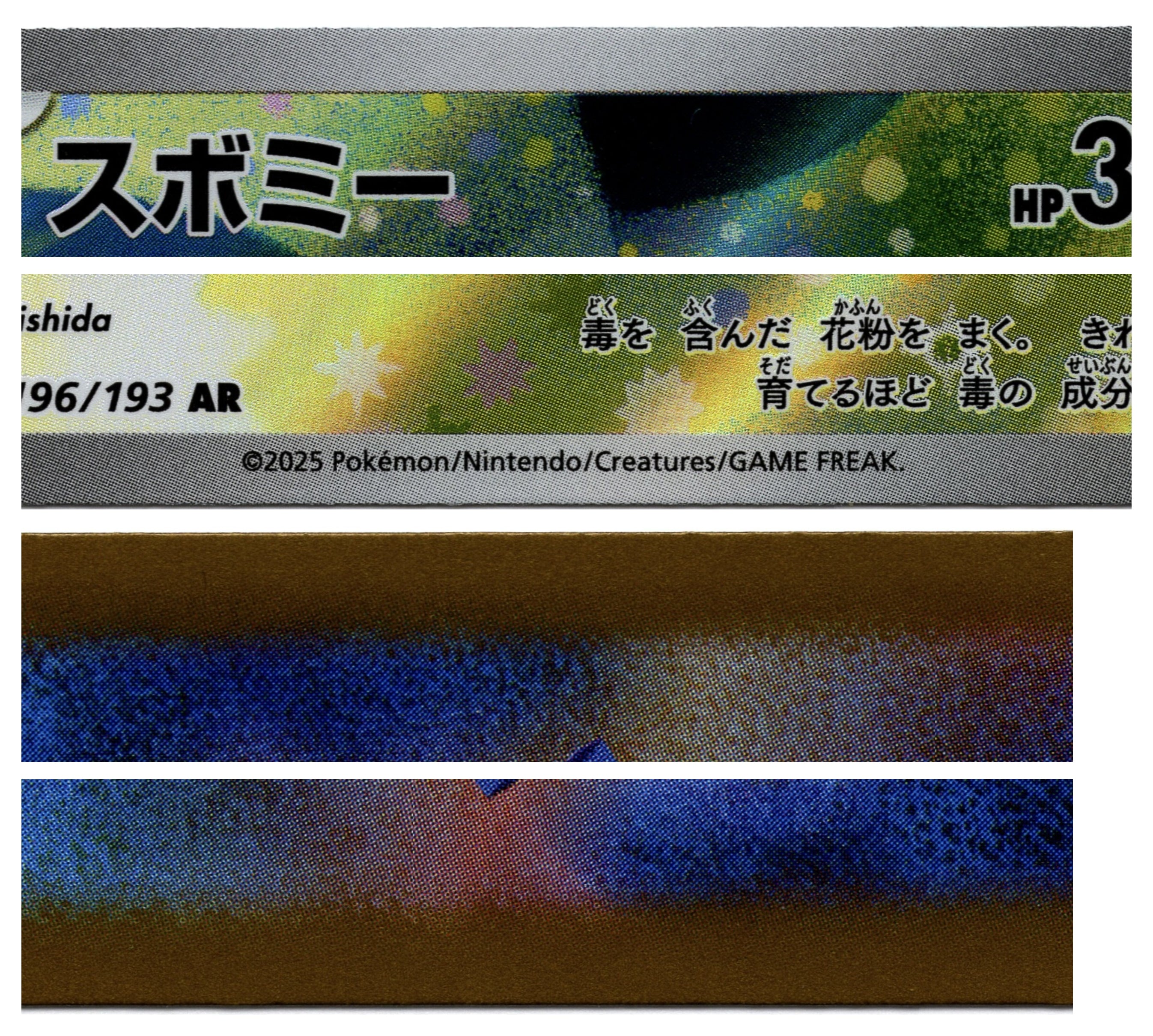 M2a 196/193 AR 含羞苞 9/10（日文版）③