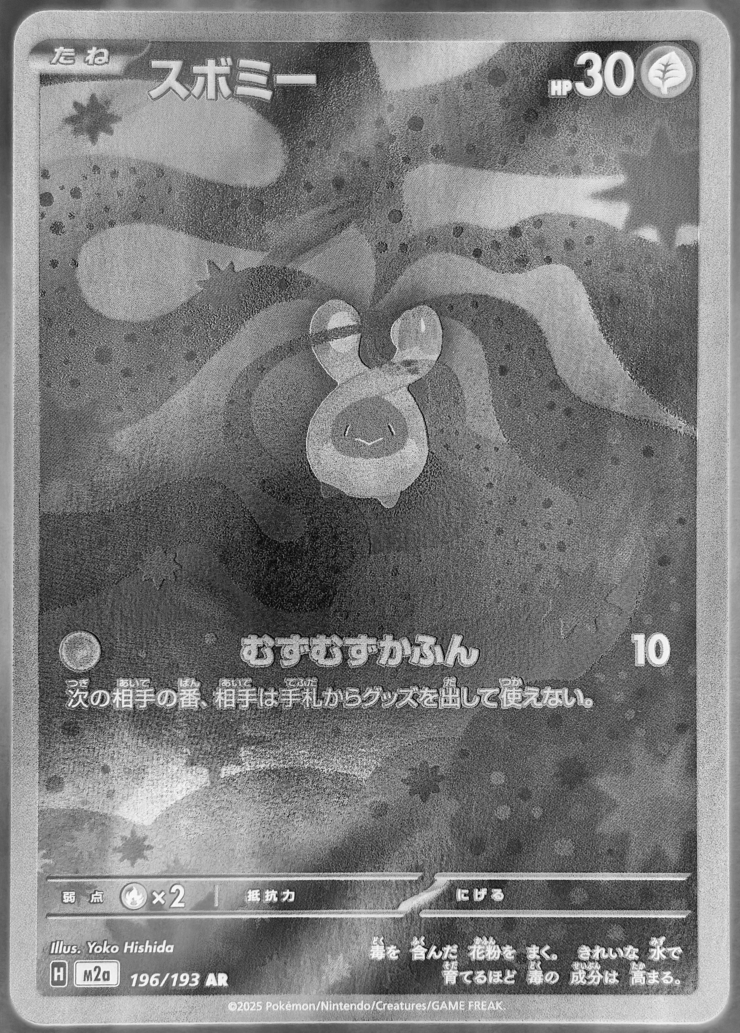 M2a 196/193 AR 含羞苞 9.5/10（日文版）①