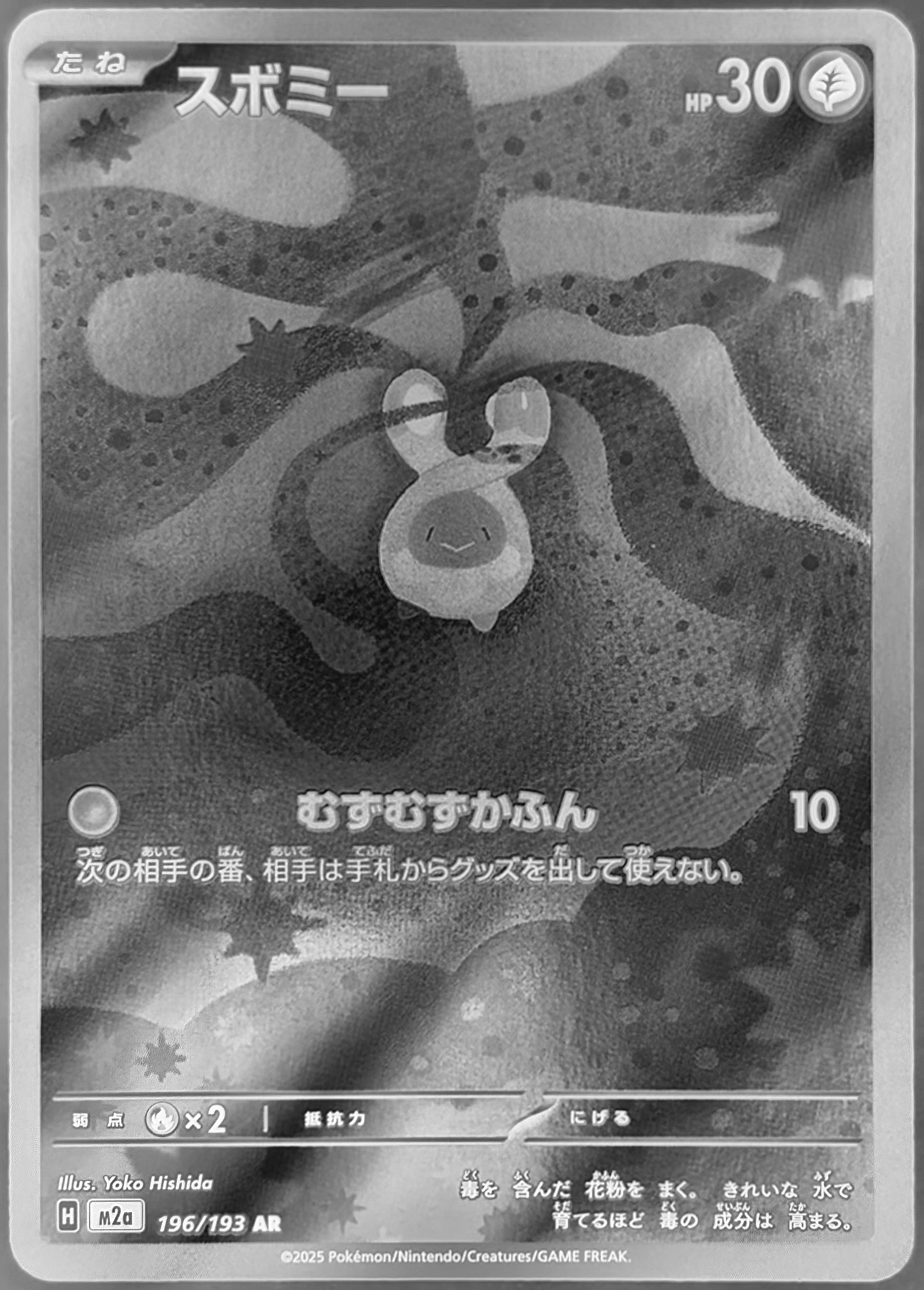 M2a 196/193 AR 含羞苞 9/10（日文版）③