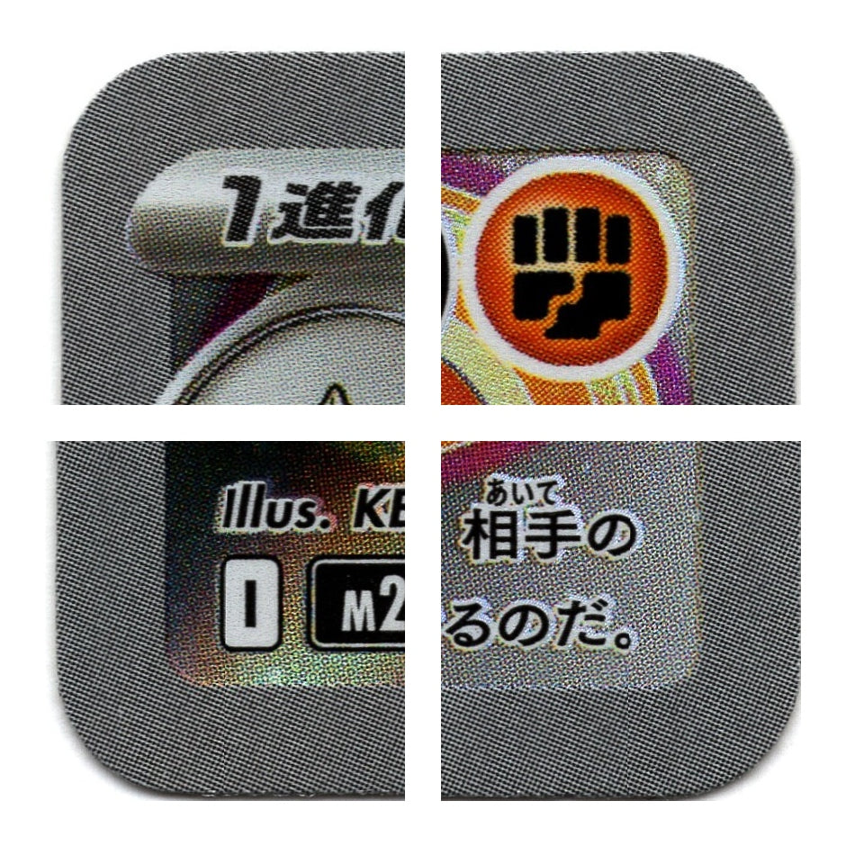 M2a 207/193 AR 恰雷姆 10/10（日文版）