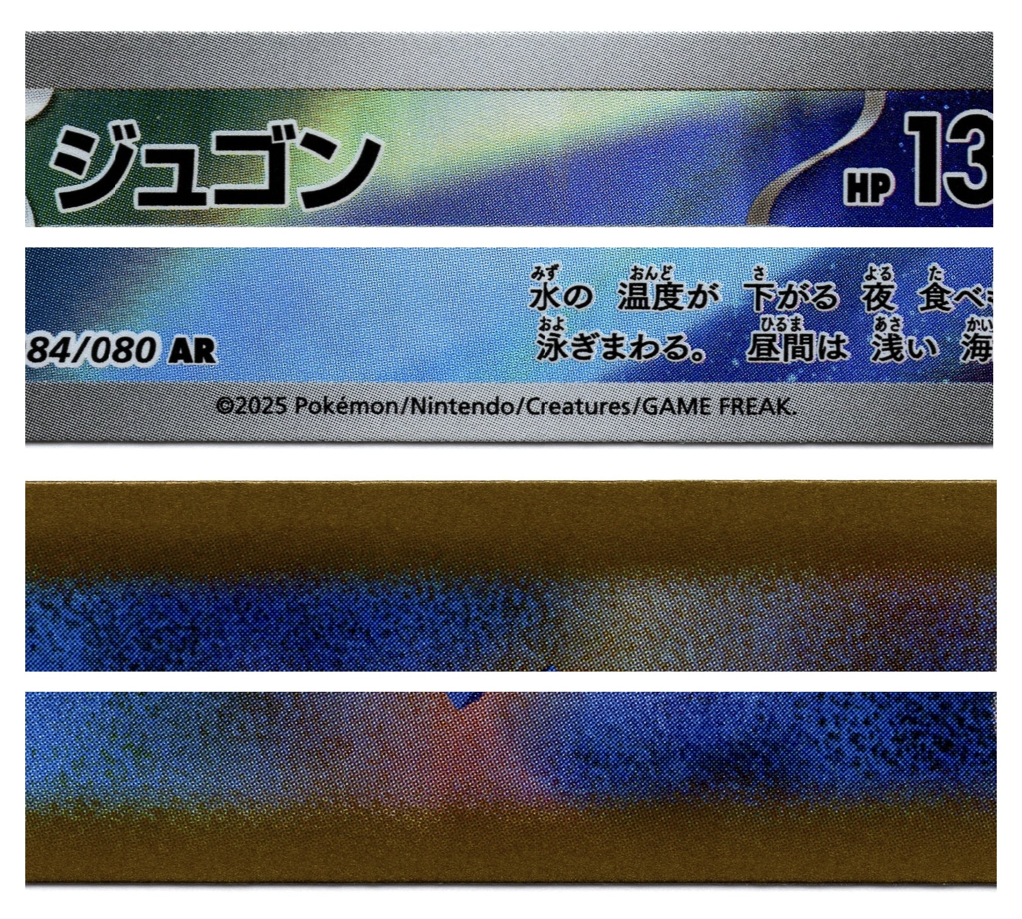 M2 84/80 AR 白海獅 10+/10（日文版）