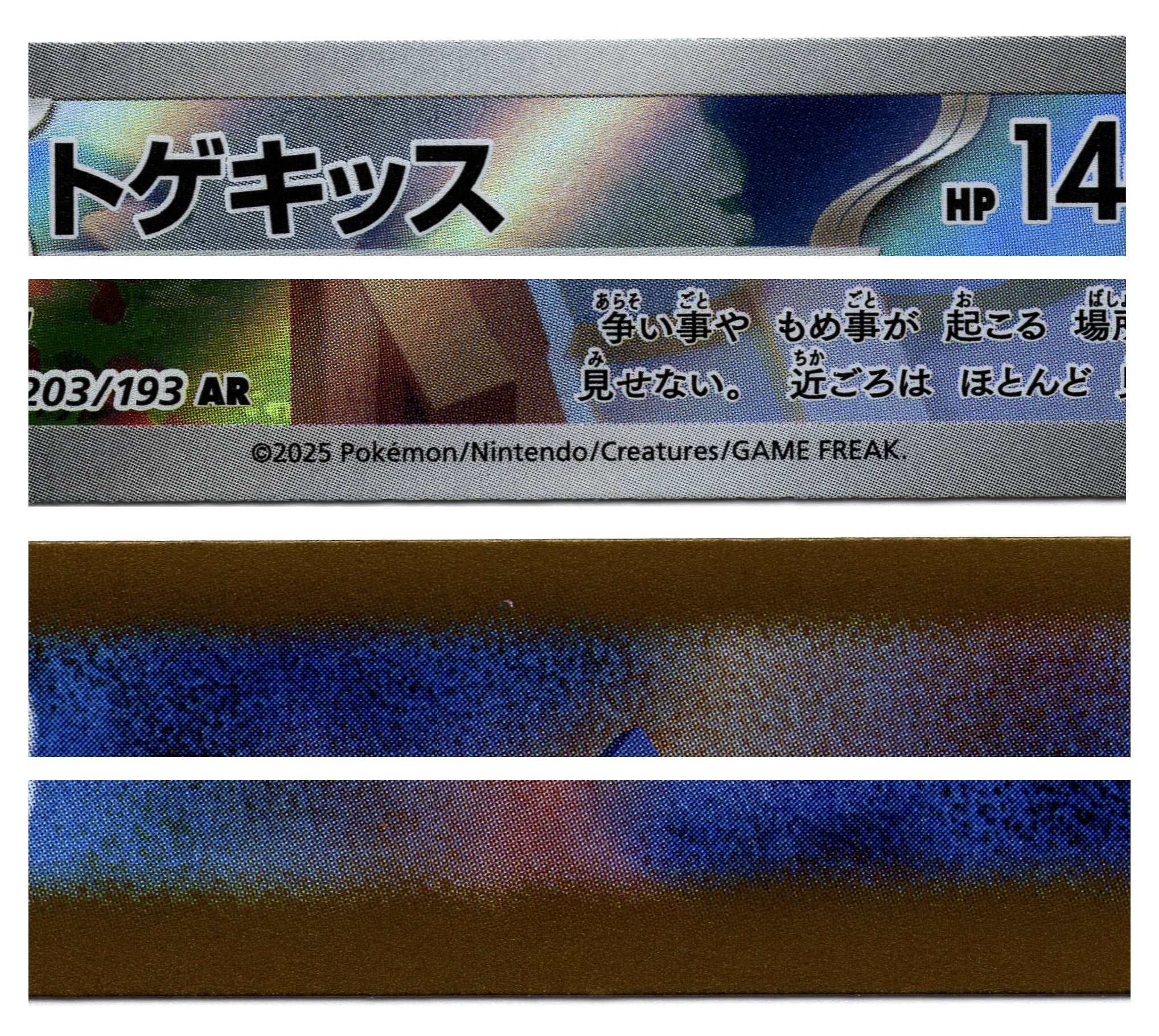 M2a 203/193 AR 波克基斯 9/10（日文版）